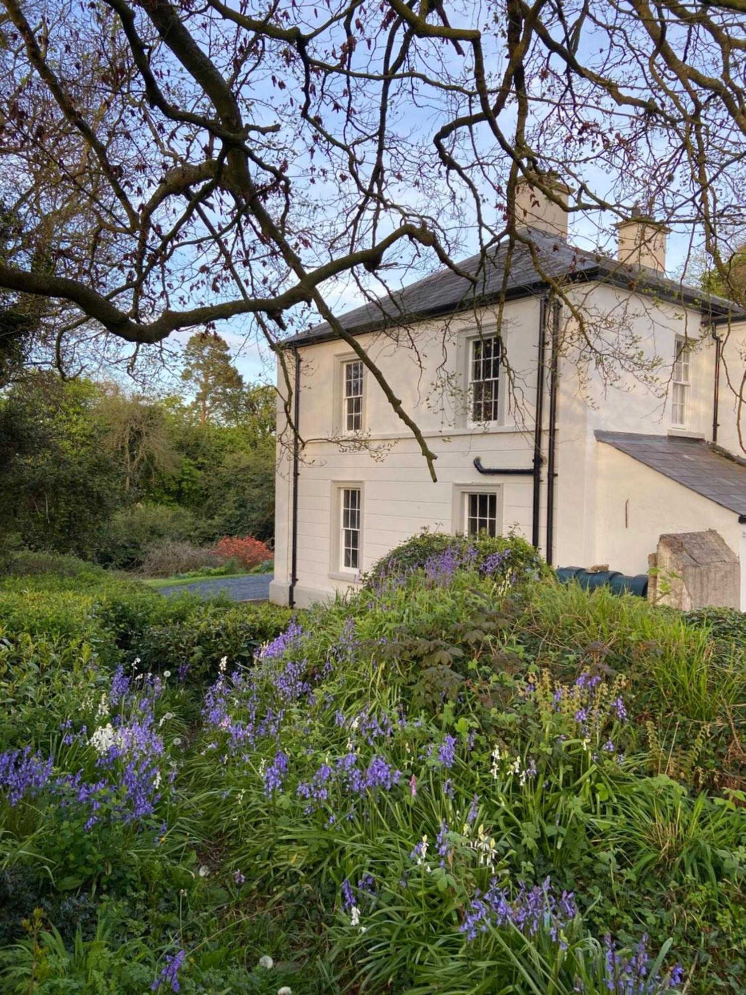 Ashville Georgian House Killinchy Dış mekan fotoğraf